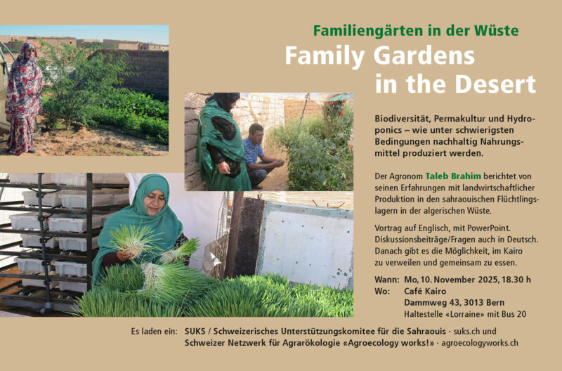 Familiengärten in der Wüste Café Kairo Lorraine